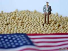 期貨分析：美豆“溢價”帶來的風險